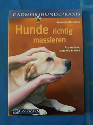 Hunde richtig massieren : [Akupressur, Massage & mehr]. Cadmos Hundepraxis; Cadmos-Hundebücher.
