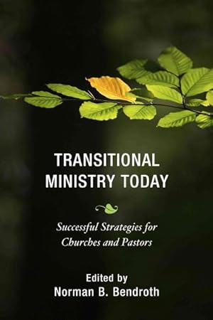 Immagine del venditore per Transitional Ministry Today : Successful Strategies for Churches and Pastors venduto da GreatBookPricesUK