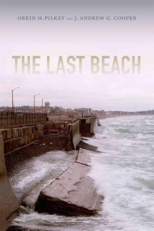 Image du vendeur pour Last Beach mis en vente par GreatBookPrices