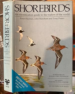 Image du vendeur pour SHOREBIRDS. AN IDENTIFICATION GUIDE TO THE WADERS OF THE WORLD. mis en vente par Graham York Rare Books ABA ILAB