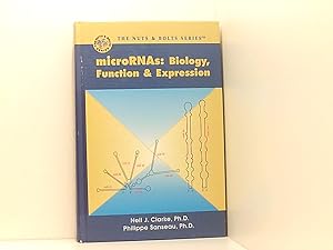 Seller image for MicroRNAs: Biology, Function & Expression for sale by Book Broker