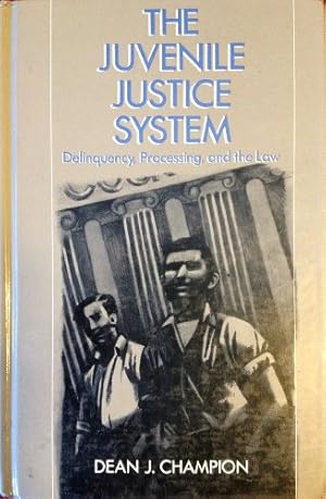 Imagen del vendedor de The Juvenile Justice System: Delinquency, Processing, and the Law a la venta por ICTBooks