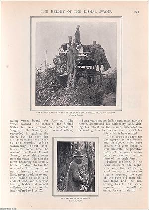 Seller image for The Hermit of the Dismal Swamp : Count Alberto de Rimini, an Italian nobleman who lived as a recluse in the Great Dismal Swamp of Virginia. An uncommon original article from the Wide World Magazine, 1904. for sale by Cosmo Books