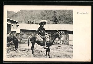 Postcard Südamerika, Don Joaquin auf seinem Esel
