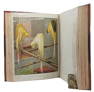 THE ILLUSTRATED BOOK OF CANARIES AND CAGE-BIRDS, BRITISH AND FOREIGN