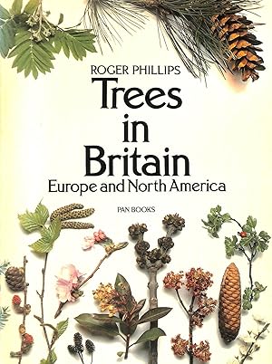 Bild des Verkufers fr Trees in Britain, Europe and North America zum Verkauf von M Godding Books Ltd