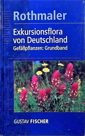 Seller image for Exkursionsflora von Deutschland / Gefsspflanzen Grundband for sale by Berliner Bchertisch eG