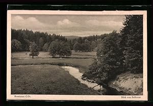 Bild des Verkufers fr Ansichtskarte Rominten, Blick von Bellevue auf die Lichtung zum Verkauf von Bartko-Reher