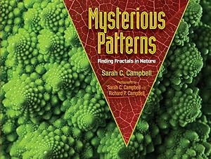 Imagen del vendedor de Mysterious Patterns : Finding Fractals in Nature a la venta por GreatBookPrices