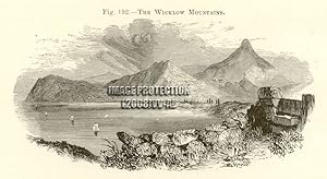 The Wicklow Mountains,1881 Antique Print