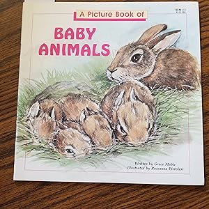 Seller image for A Picture Book of Baby Animals for sale by CKBooks