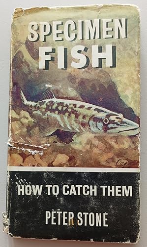 Specimen Fish: How to Catch Them