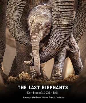 Seller image for Last Elephants for sale by GreatBookPrices