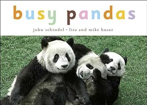 Image du vendeur pour Busy Pandas mis en vente par GreatBookPrices