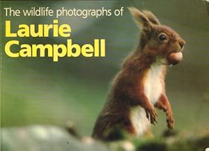 Seller image for The wildlife photographs of laurie campbell - Laurie Campbell for sale by Book Hmisphres