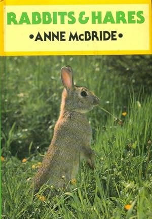 Imagen del vendedor de Rabbits & hares - Anne Mcbride a la venta por Book Hmisphres