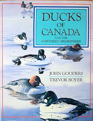 Ducks of Canada and the Northern Hemisphere
