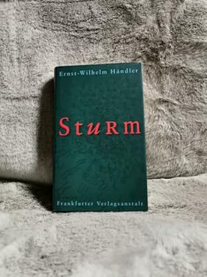 Immagine del venditore per Sturm : Roman. venduto da TschaunersWelt