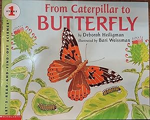 Seller image for From Caterpillar to Butterfly - Stage 1 Reader for sale by The Book House, Inc.  - St. Louis