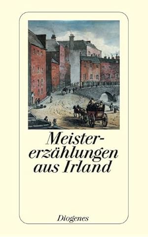 Seller image for Meistererzhlungen aus Irland: Geschichten von Frank O'Connor bis Bernard MacLaverty for sale by Gerald Wollermann