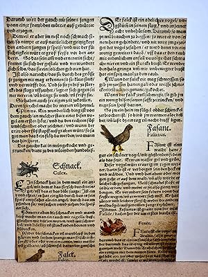 Einzelblatt wohl aus dem *Buch der Natur* des Konrad von Megenberg (*1309 Georgensgmünd - 1347 Re...