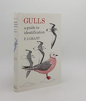 Bild des Verkufers fr GULLS A Guide to Identification zum Verkauf von Rothwell & Dunworth (ABA, ILAB)