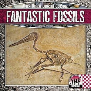 Immagine del venditore per Fantastic Fossils (Rock on!: A Look at Geology) venduto da -OnTimeBooks-