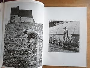 Les Vendanges