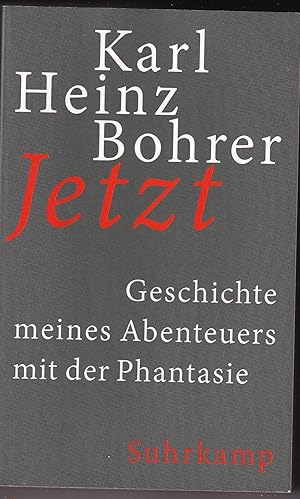 Bild des Verkufers fr Jetzt - Geschichte meines Abenteuers mit der Phantasie zum Verkauf von Kultgut