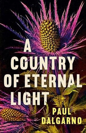 Image du vendeur pour A Country of Eternal Light (Paperback) mis en vente par CitiRetail