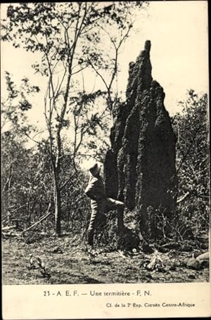 Ansichtskarte / Postkarte Afrika, Mann neben Termitenbau, Expedition Citroen