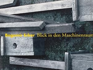 Bild des Verkufers fr Bogomir Ecker: Blick in den Maschinenraum (Schriften des Museums Ostdeutsche Galerie in Regensburg). zum Verkauf von Fundus-Online GbR Borkert Schwarz Zerfa