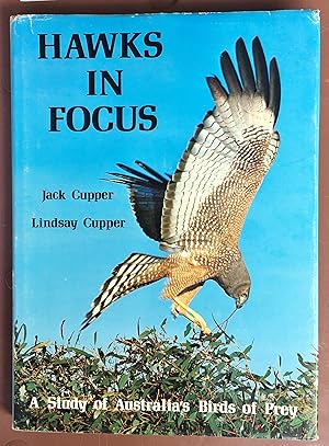 Hawks in Focus : A Study of Australia's Birds of Prey