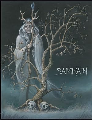 Imagen del vendedor de Samhain: Mythologie, Folklore, Rituale (German Edition) a la venta por Redux Books