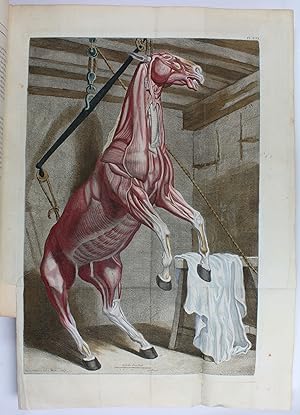 Image du vendeur pour Cours d'hippiatrique, ou Trait complet de la mdecine des chevaux, orne de soixante & cinq planches graves avec soin. mis en vente par Antiquariat INLIBRIS Gilhofer Nfg. GmbH