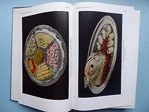 Kiehnle-Kochbuch. Große illustrierte Ausgabe für die bürgerliche und feine Küche mit Haushaltungs...