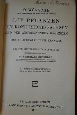 Die Pflanzen des Königreichs Sachsen und der angrenzenden Gegenden. 10. neuebearbeitete Auflage.