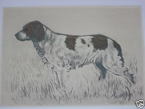 GRAVURE DE COLLOT - CHIEN DE CHASSE -