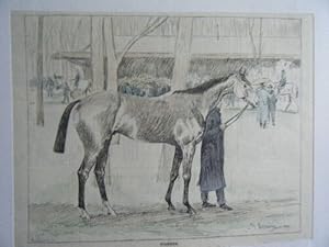 GRAVURE SUR BOIS AQUARELLEE 19ème POULAIN BAI