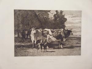 EAU FORTE DE TROYON 19ème LE TROUPEAU DE VACHES