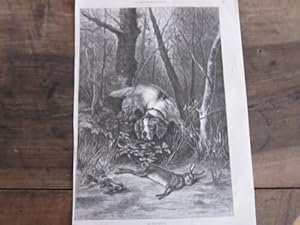 GRAVURE SUR BOIS 19 ème SCENE DE CHASSE