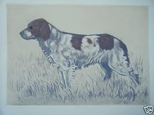 GRAVURE EN COULEUR ANDRE COLLOT 20ème CHIEN EPAGNEUL PICARD