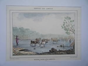 LITHOGRAPHIE AQUARELLEE 19ème MARES DANS LES LANDES