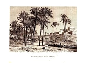 GRAVURE SUR BOIS 19è CANAL SEFI DERIVE DU BAHR YOUSEF A FIDEMIN EL FAYOUM EGYPTE