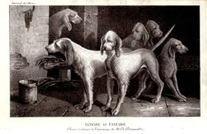 LITHOGRAPHIE 19ème CHIENS VENDEENS FANFARE ET FANFARO JOURNAL DES HARAS