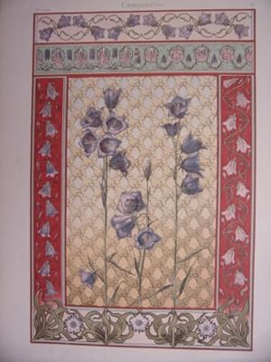 PLANCHE TIREE JOURNAL DE LA DECORATION VERS 1900 CAMPANULES