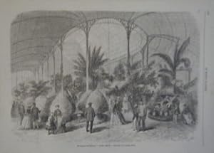 GRAVURE SUR BOIS 19è EXPOSITION UNIVERSELLE JARDIN RESERVE INTERIEUR GRANDE SERR