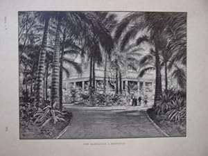 GRAVURE SUR BOIS VERS 1890 UNE HABITATION A HONOLULU