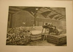 GRAVURE SUR BOIS FEVRIER 1886 de A. BROUILLET LE GAVAGE DES PIGEONS