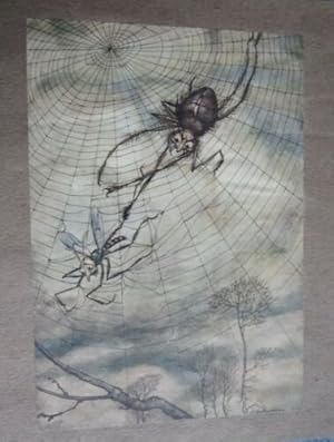 GRAVURE DE ARTHUR RACKHAM 1913 SIGNATURE DANS LA PLANCHE LE COUSIN ET LE LION